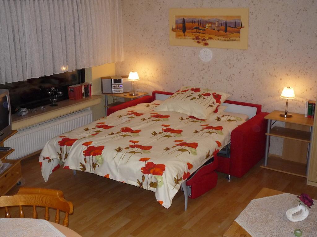 Kleinschmidt Apartment